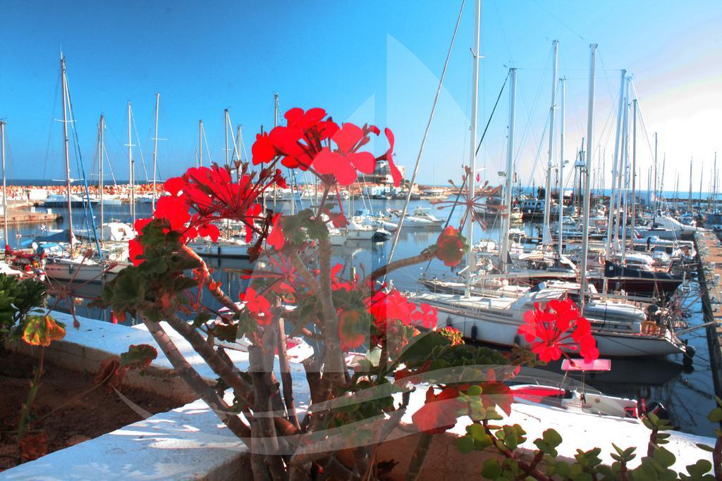 Marina Cap Monastir- Appart'Hotel Exterior photo